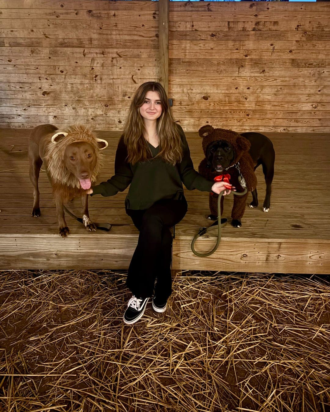 Isabel Igoe sitting between two dogs in Halloween costumes — a retriever in a lion mane and a black dog dressed as a teddy bear